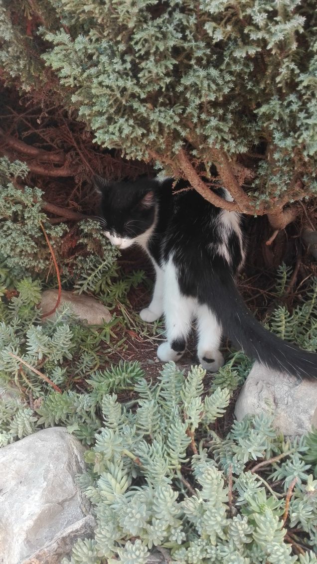 Ho un bel fondoschiena