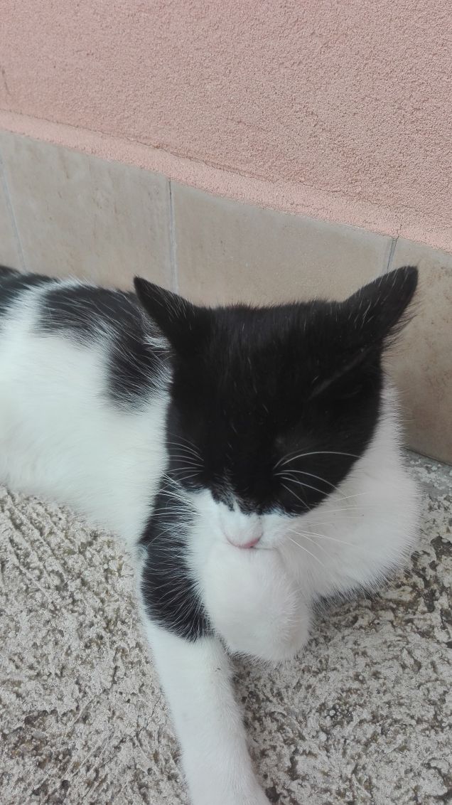 Tanti bacini da Zorro... Kiss :*