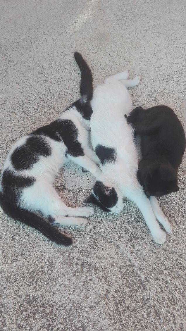 E poi li trovo che dormono così *_*