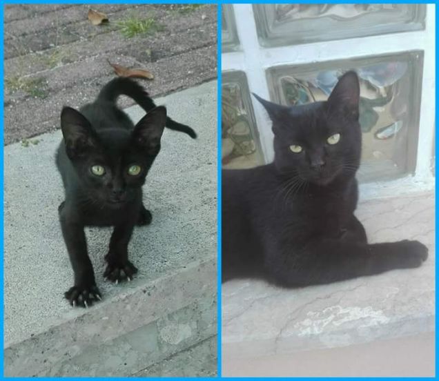 Salem prima e oggi ❤