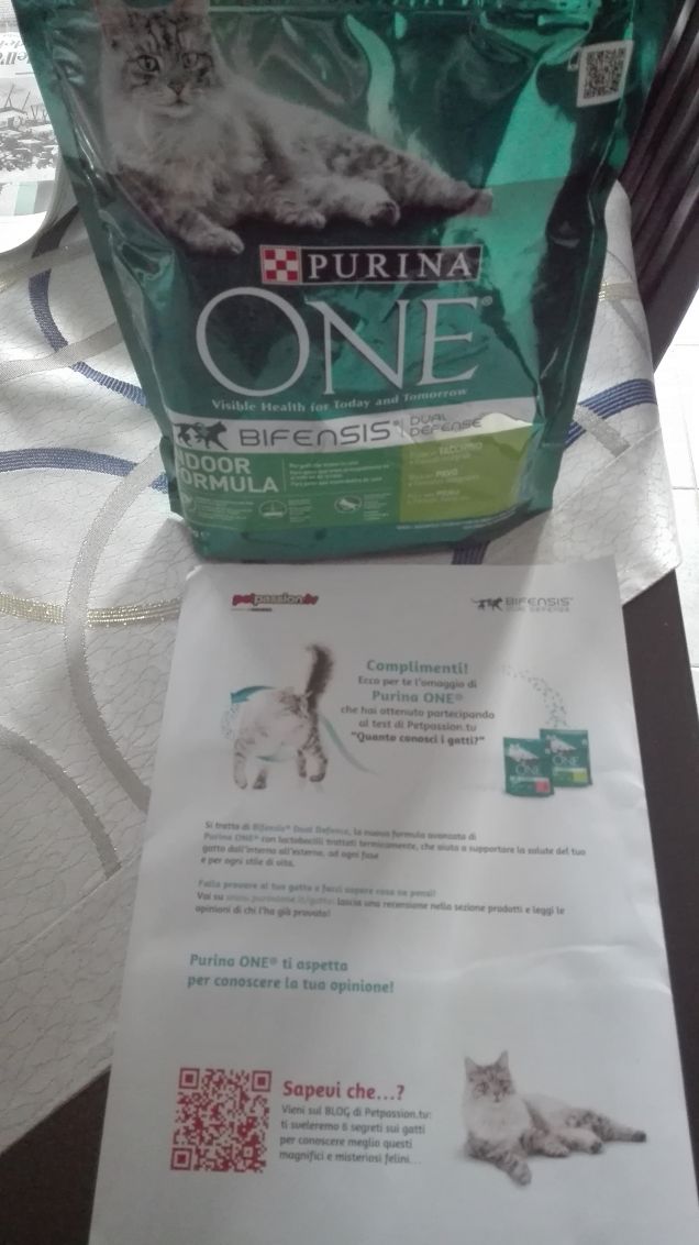 Omaggio Purina :)