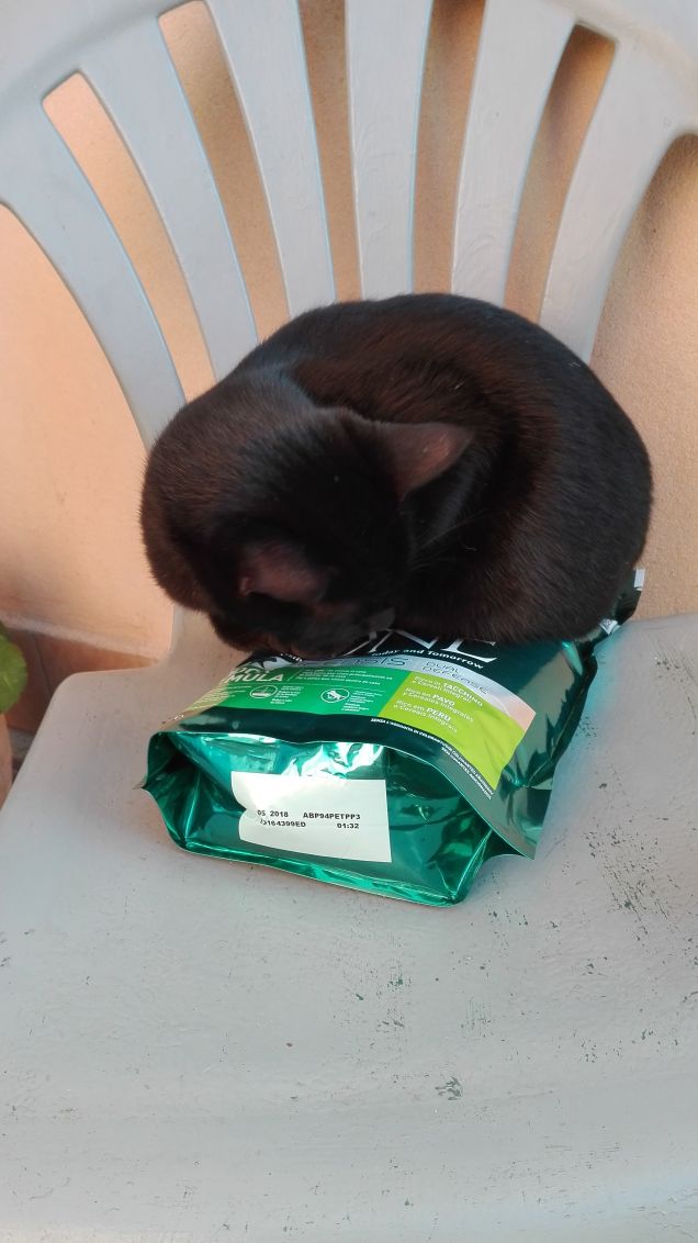 Comodissimo questo cuscino! :D