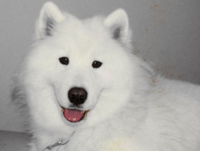 voi la cosa piu bella che dio potesse donarmi