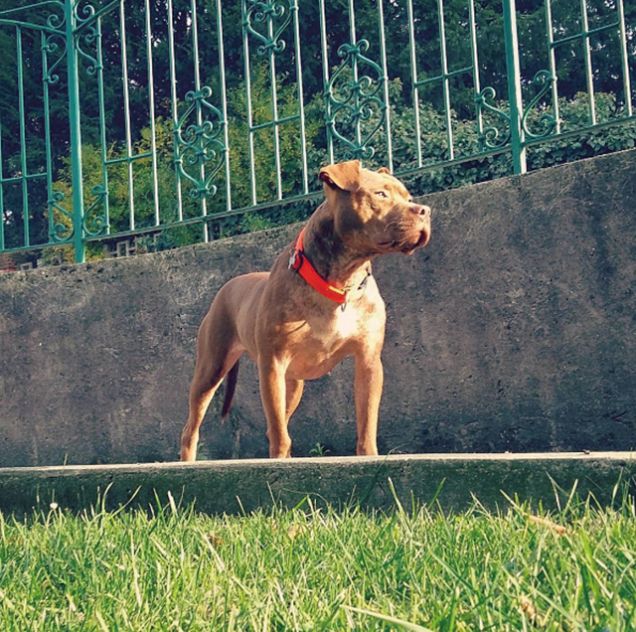 Mamma, guarda come sono cresciuta!