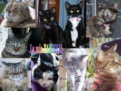 Mio, Luna, Clìo, Jhonny,Rughina, Memole, Lamù,Giada, Perla, Mary