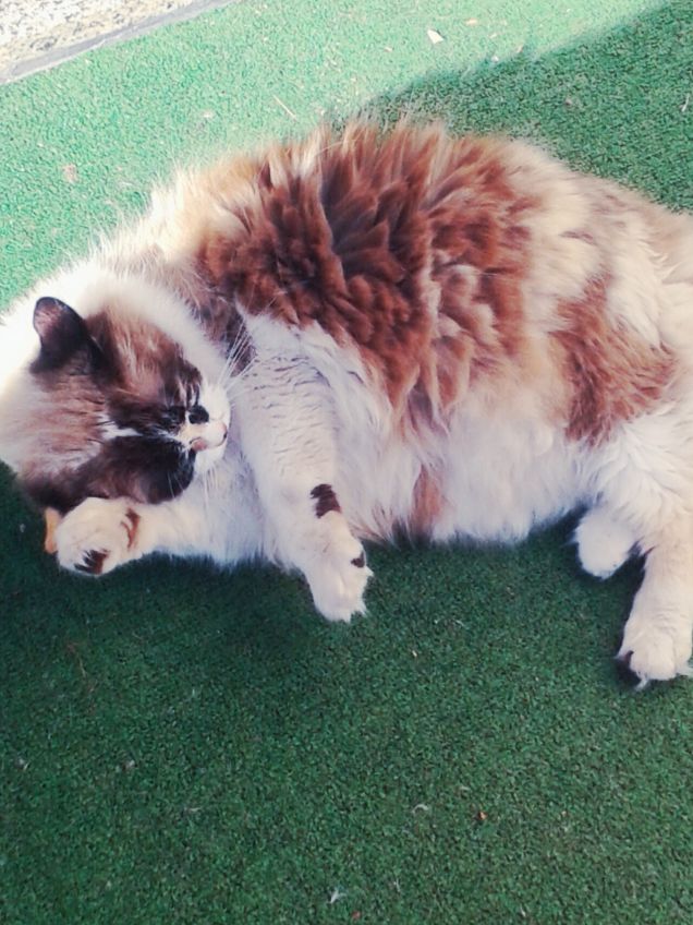 prendiamo un po' di sole