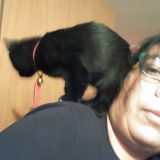 antonietta