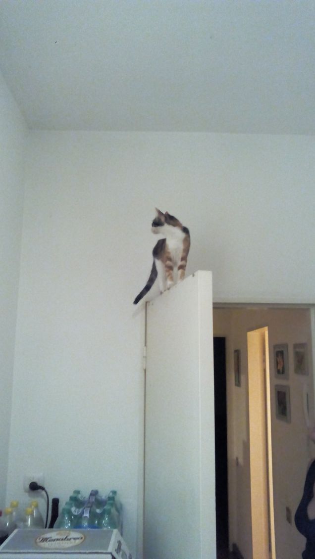 Agilità ne abbiamo?