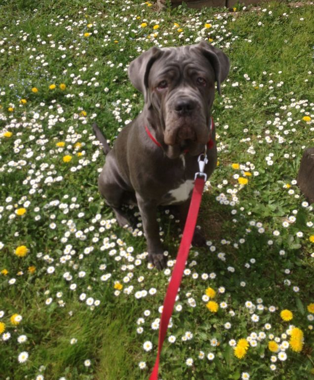 Chi va piano... Va sano e va lontano