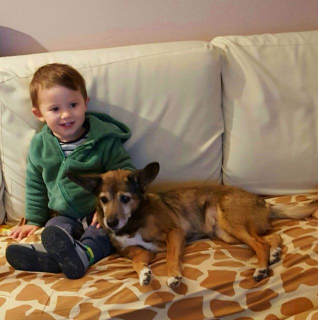 LUNETTA E GIANLUCA:MONELLI TALI E QUALI