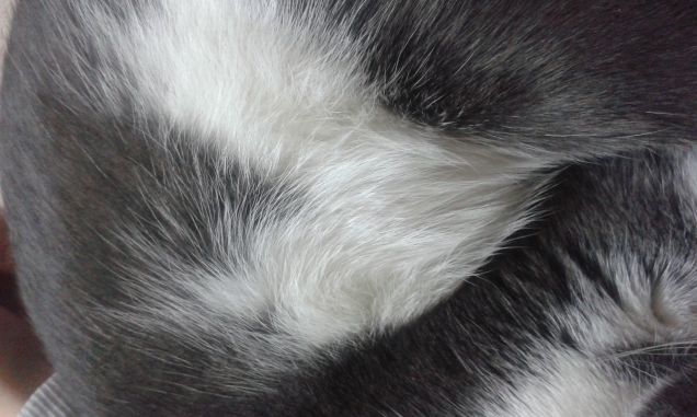 Cuore sulla mia piccola kira ♥