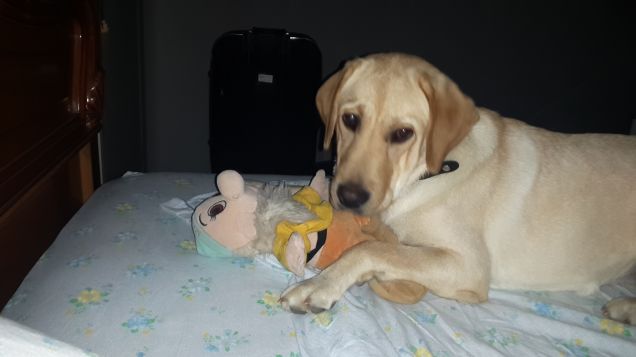 Kim non dorme senza il suo pupazzo :)