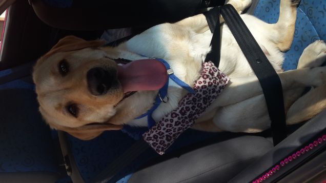 Ciao ciao noi andiamo a fare un giretto :)