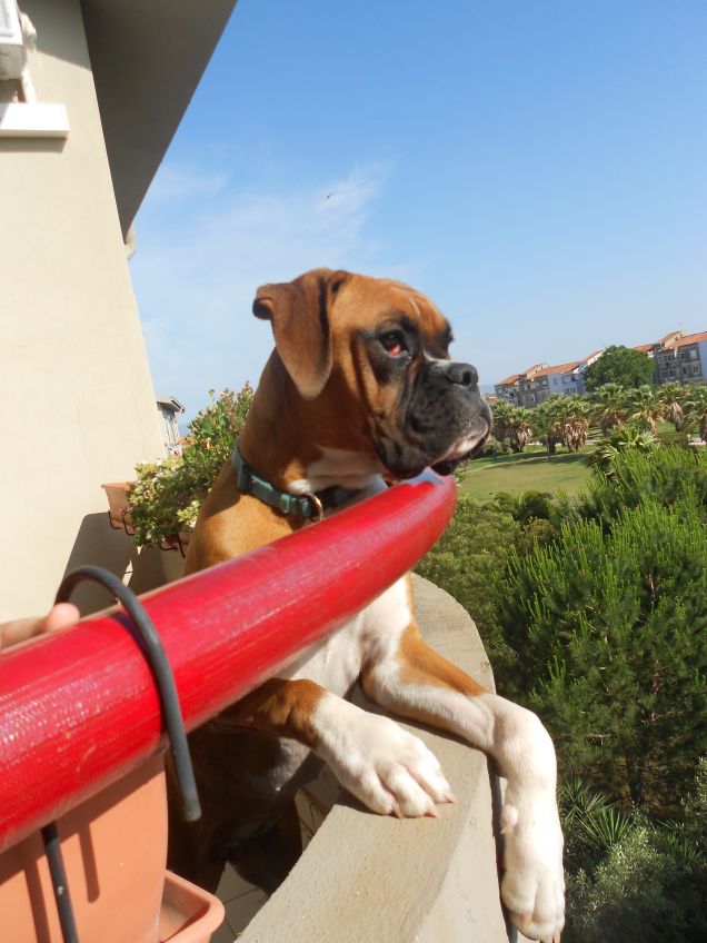 Margot spia dal balcone 