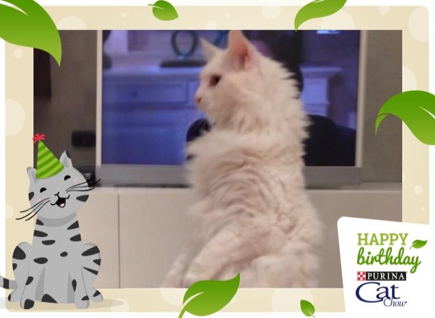 CHLOE'  IMITA LA MARMOTTA.....