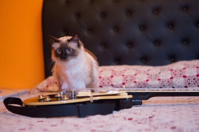 la musica ci lega tanto 