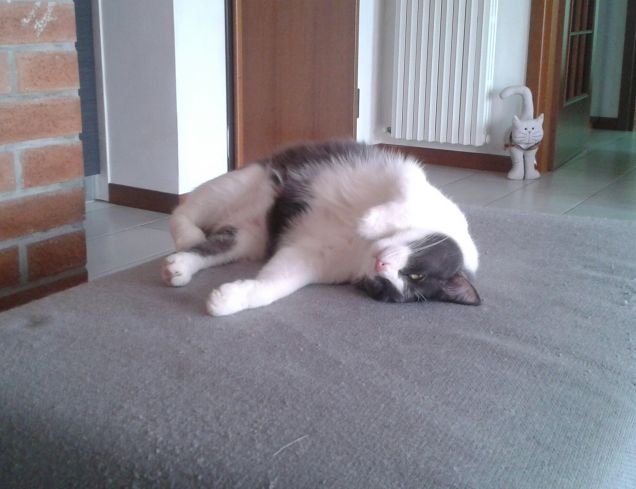 ... facciamo la nanna??