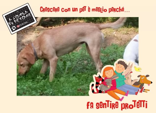 Thelma è mafalda❤❤