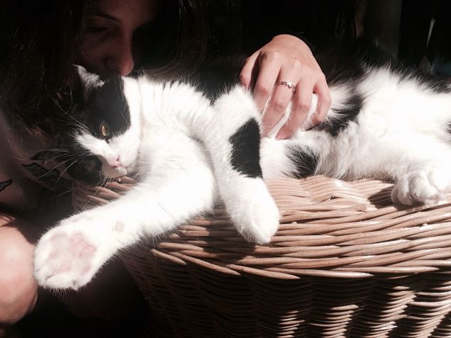 Porgi l'altra zampa! 