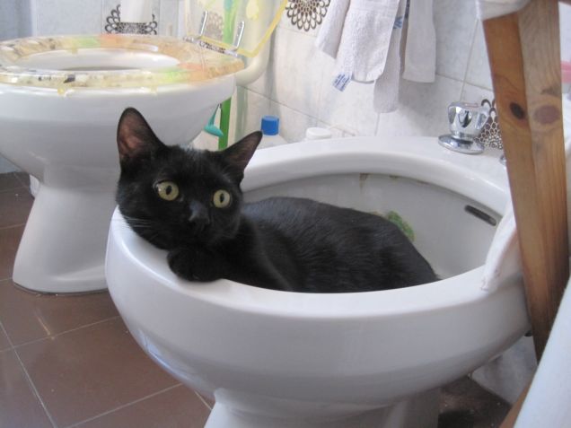 adoro stare in bagno 