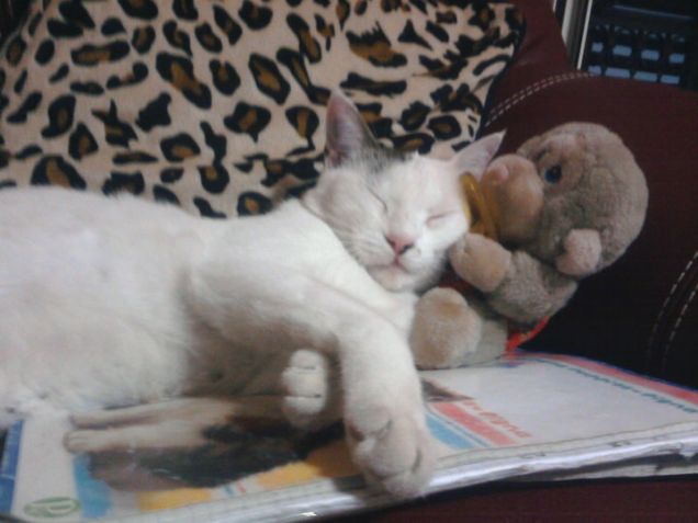 Leila e il suo peluche preferito!