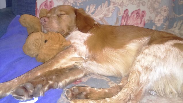 Coccole con il mio peluche