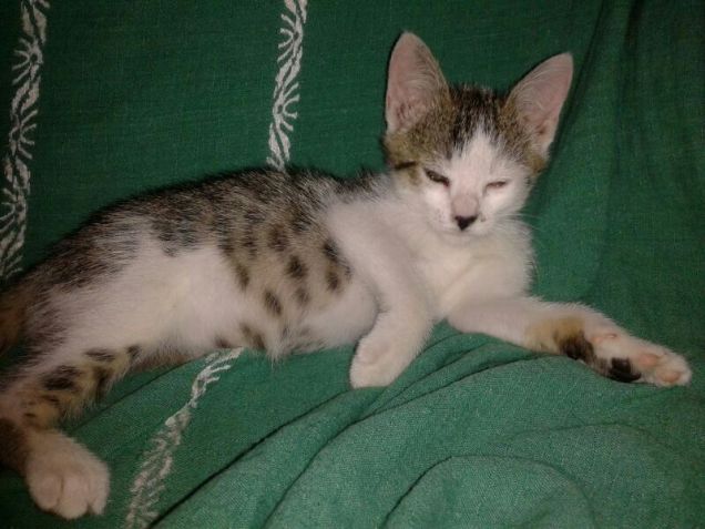 da piccino, ora son più carino :D