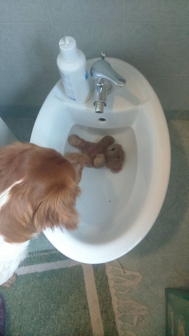 Bagnetto anche a lui :D