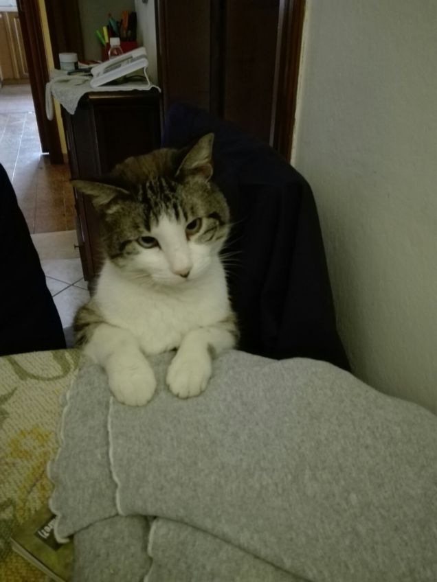 la pappa quando arriva :D