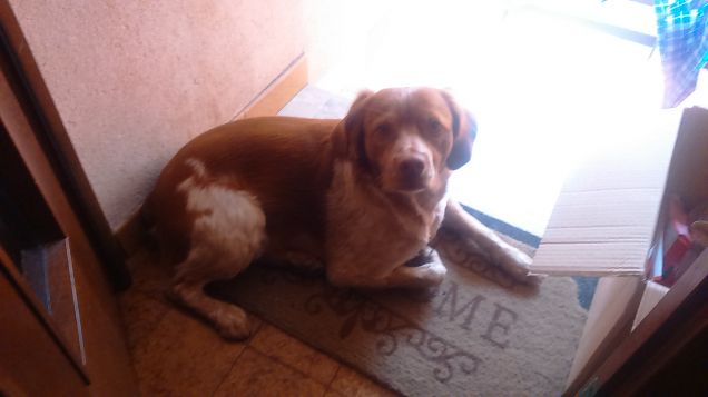 aspettando di uscire..