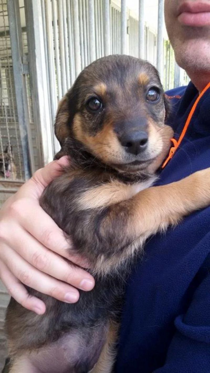 GERRI 2 MESI - CERCA CASA 