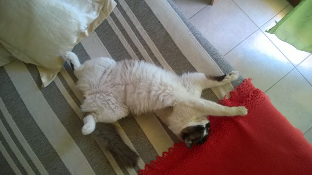 Che fatica vivere!!!