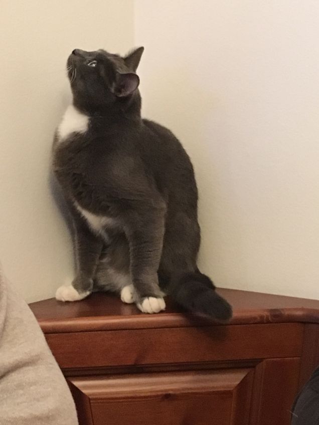 cosa c'è in quell'angolo