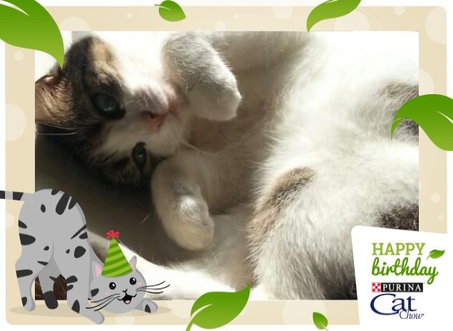 Auguri anche da nina