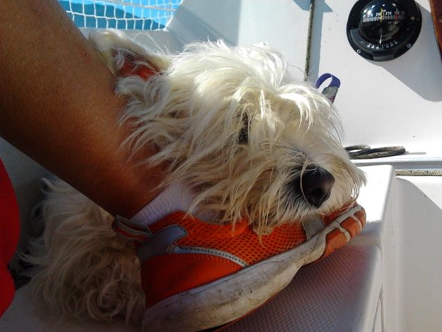 in barca con mamma e papà!