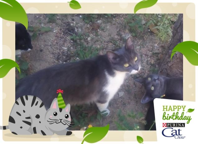 Come è bello giocare insieme