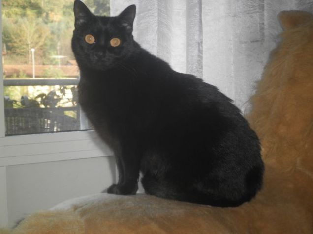 Yumiko dietro alla finestra