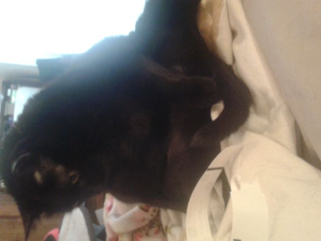 Anche vista alla rovescia sei fantastika!! 