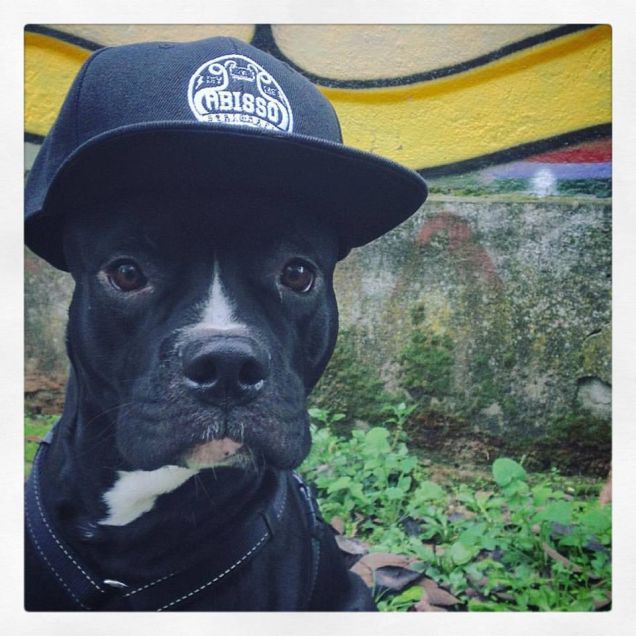 Loki for abisso serigrafia