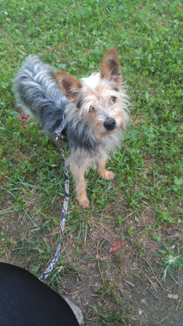 stella al parco giochi