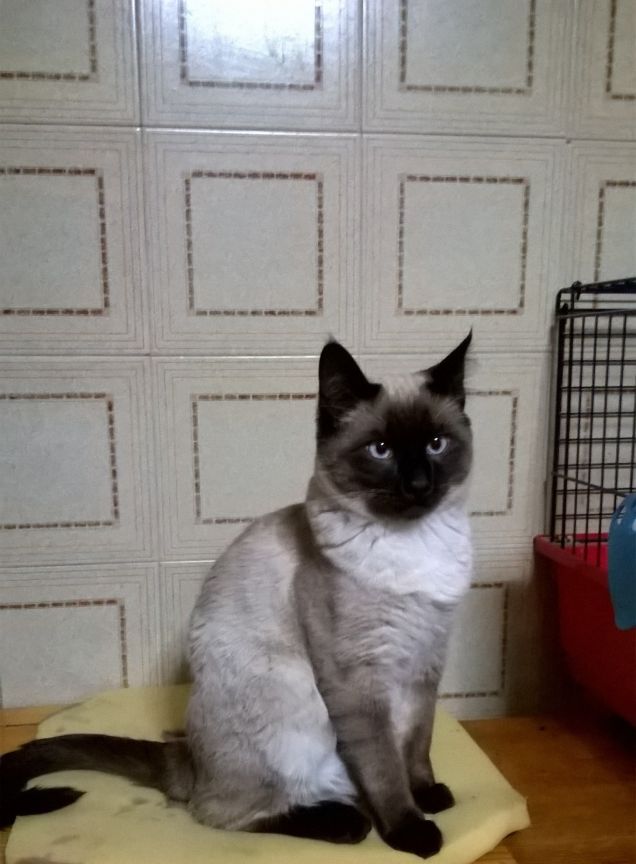 Ogni tanto fa il serio!