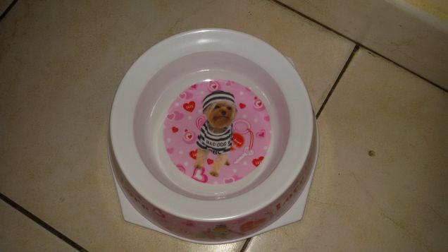 Nuova ciotola per Sissy