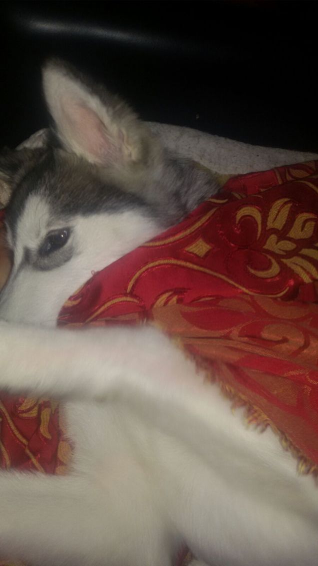 Brrrrr.... che freddo di mattina!!