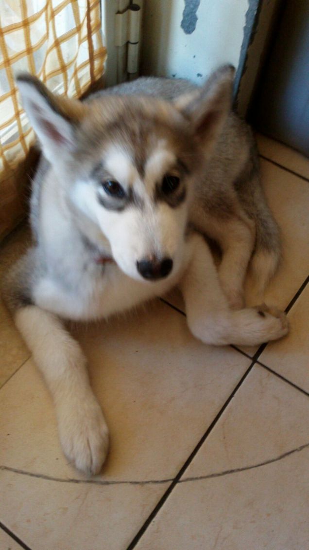 Stanchissima dopo la passeggiata