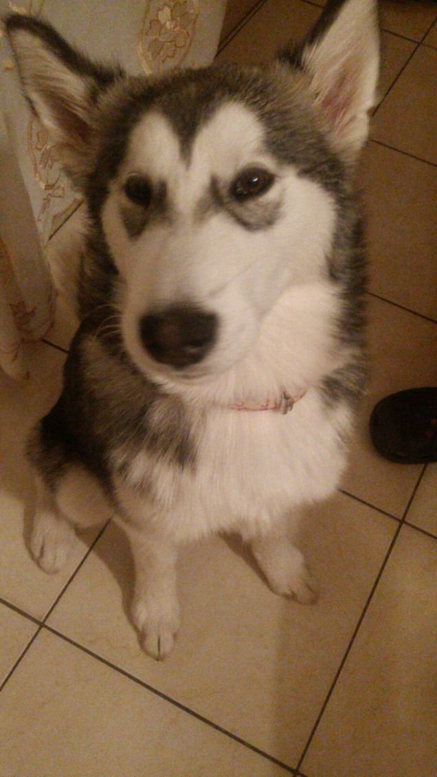 Sissy sei un amore!!