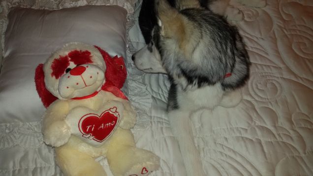 Io e Sissy abbiamo gli stessi gusti!