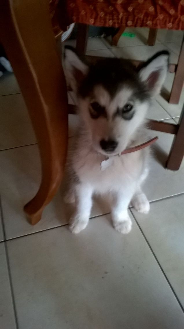 Quanto eri piccola!!... 3 mesi fa!