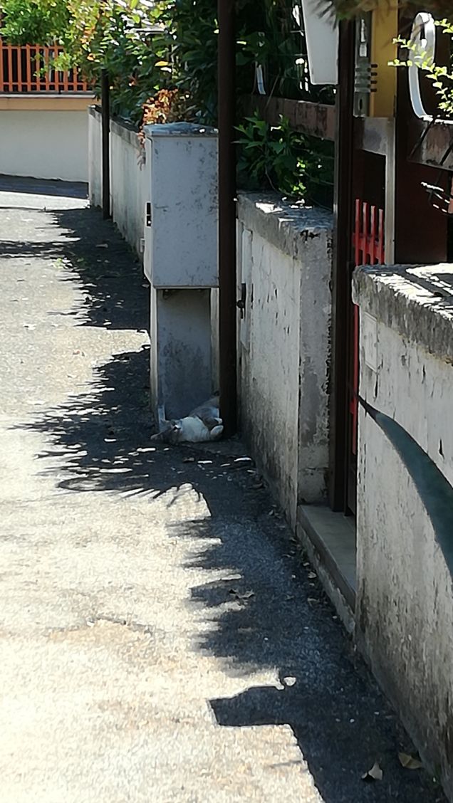 E' arrivata l'Estate