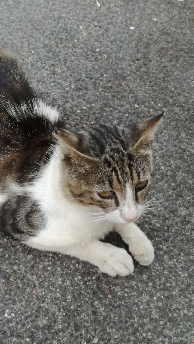 Ancora...ancora e ancora.3