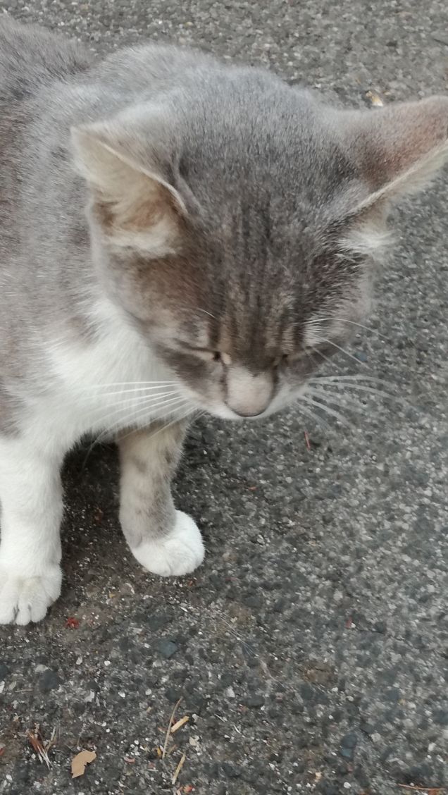 Ancora...ancora e ancora.4